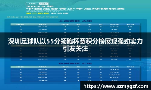 深圳足球队以55分领跑杯赛积分榜展现强劲实力引发关注