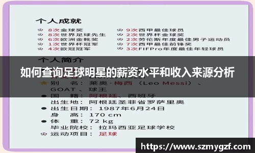 如何查询足球明星的薪资水平和收入来源分析